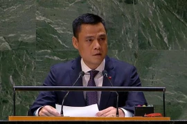 哈马斯-以色列冲突：越南紧急呼吁停止暴力，避免造成平民伤亡