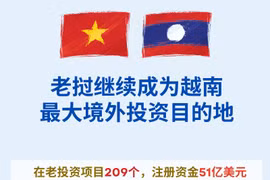 图表新闻：老挝继续成为越南最大境外投资目的地
