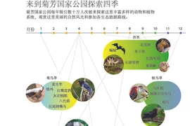 图表新闻：来到菊芳国家公园探索四季