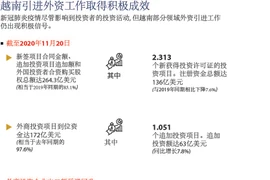 图表新闻：越南引进外资工作取得积极成效
