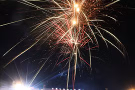 越南各地人民喜迎2019年新年（组图）