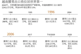 图表新闻：越南腰果出口将位居世界第一