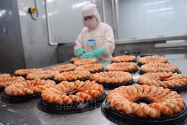 着力提高越南虾类产品的竞争力