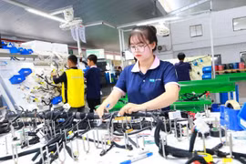 2024年上半年，FDI企业就业岗位数较去年同期增加了4.8%。图自越通社