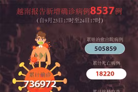 图表新闻：越南报告新增确诊病例8537例 新增死亡病例203例