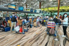 在新加坡的300名越南公民已安全回国