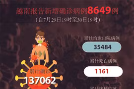 图表新闻：越南报告新增确诊病例8649例