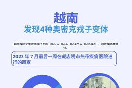 图表新闻：越南发现4个奥密克戎变体