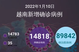 图表新闻：1月10日越南报告新增的确诊病例