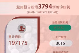 图表新闻：越南报告新增3794例确诊病例