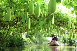 同塔省重点发展环境友好型旅游项目