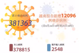 图表新闻：越南报告新增12096例确诊病例 新增死亡病例335例