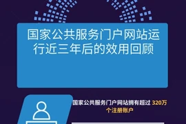 图表新闻：国家公共服务门户网站运行近三年后的效用回顾