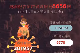图表新闻：越南报告新增确诊病例8656例 新增死亡病例298例