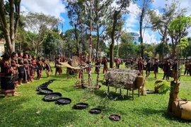 重点保护西原地区各民族文化价值 