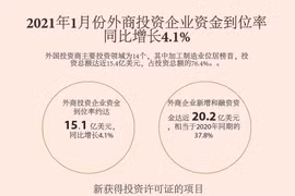 图表新闻：2021年1月份外商投资企业资金到位率同比增长4.1%
