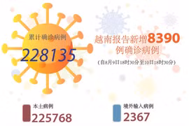 图表新闻：越南报告新增8390例确诊病例 新增死亡病例388例