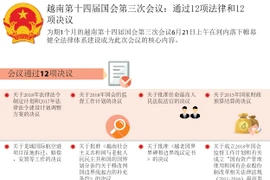 越南 - 柬埔寨五十年全面合作