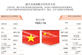 越中全面战略合作伙伴关系简介