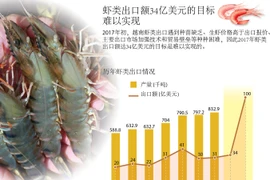 虾类出口额34亿美元的目标难以实现