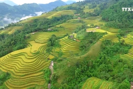 社区旅游——保护少数民族文化的良策