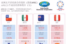 图表新闻：APEC21个成员经济体简介（五）