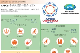 图表新闻：APEC21个成员经济体简介（三）