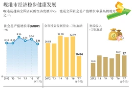 岘港市经济稳步健康发展