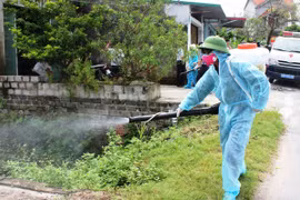 越南登革热疫情呈现减缓趋势