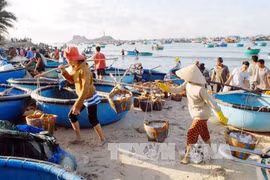 海洋环境事故发生一年后 广治省迎来积极信号