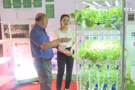 红河三角洲贫困地区加强高新技术农业应用