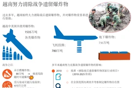 越南努力清除战争遗留爆炸物