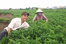 南定省新合作社模式 为人民打开致富之路