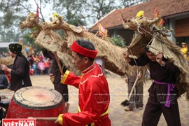 大同乡祠亭锣鼓喧天（图片来源：越通社）