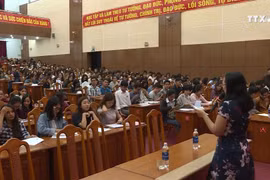 岘港市志愿者将成为亲善使者 推介越南国家形象