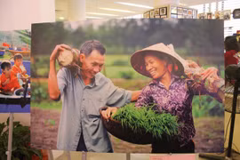 拍下幸福瞬间 力促家庭平等 