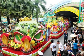 越南南部水果节热闹登场