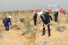 越南全国各地纷纷举行新春植树节活动