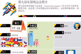 第九届东盟残运会简介