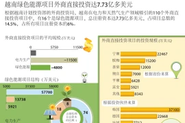 越南绿色能源项目外商直接投资达7.73亿多美元