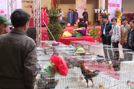 越南代表团出席第二届瑞辛纳对话会