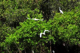 大湄公河次区域生物多样性保护工作面临诸多挑战