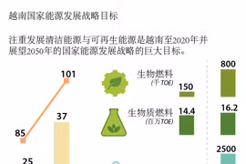 越南国家能源发展战略目标
