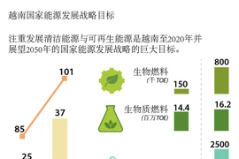 越南国家能源发展战略目标