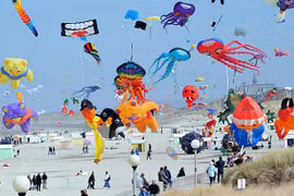 2017年岘港风筝节举行在即