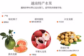 越南多种水果已走出国门，进军很多高端市场。 