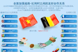图表新闻：全面加强越南与比利时之间的友好合作关系