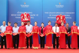 国会主席阮氏金银视察海防市（组图）