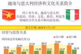 图表新闻：越南与意大利经济和文化关系简介 