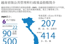 图表新闻：越南省级公共管理和行政效益指数简介